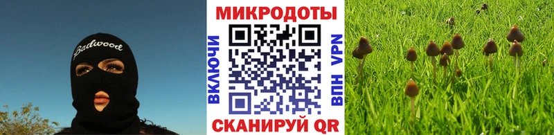 Псилоцибиновые грибы мухоморы  Купить где  Таштагол 